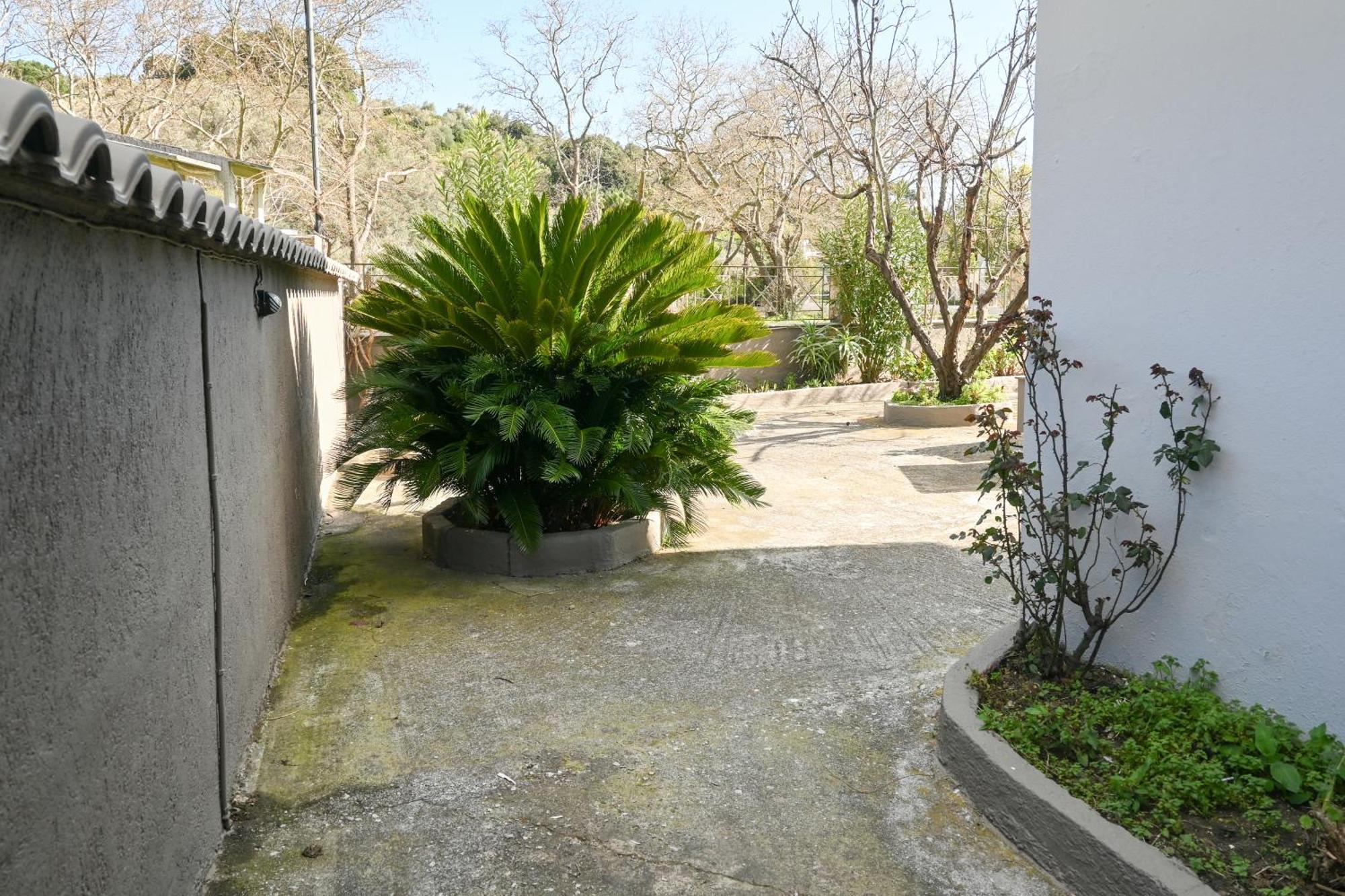 3 Goddesses' Studios Koukounaries Exterior foto